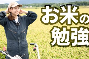 お米の勉強/高田秋の農業プロジェクト