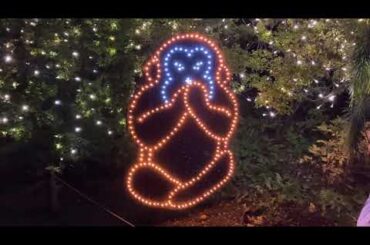 #あしかがフラワーパーク🎄🎅#堀優衣📚#橋本環奈🎤#加藤礼愛🎤#いちみる🍓#鷹宮玲亜🚔#安土姫華🍓#ジャンキス💋#山田莉愛🐼#鈴木陽依梨🐣#宝珠柚花💎#miyabi 🐼#熊之細陽葵🐻#あかぎ団🌸