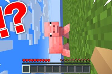 【衝撃】全てが横向きになったマインクラフトww