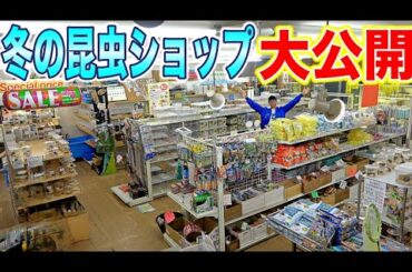 関東最大級の昆虫ショップはこの時期でも灼熱すぎた【前編】