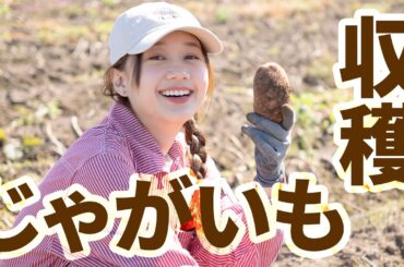じゃがいも収穫🥔/高田秋の農業プロジェクト