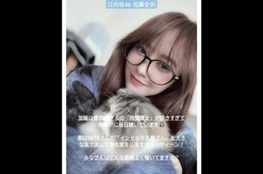 日向坂46 加藤史帆 櫻坂46「#隙間風よ 」が好きすぎて移動中に毎日聴いてるとしくん 日向坂で会いましょう そこ曲がったら櫻坂 アニバーサリーライブ