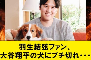 【悲報】羽生結弦ファン、大谷翔平の犬にブチ切れ・・・【なんJコメント付き】