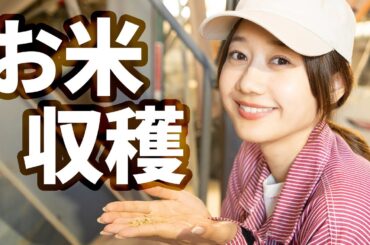 お米収穫しました🌾｜高田秋の農業プロジェクト