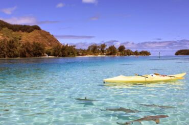 イット！2023年11月27日 LIVE FULL【1080pHD】 New