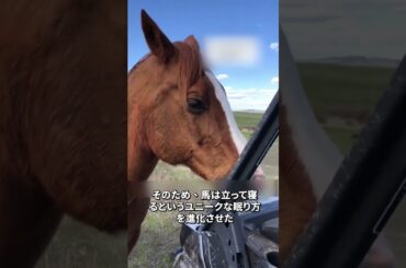 寝ているのに立ったまま目を閉じない