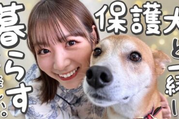 「保護犬と生活する」ということ。