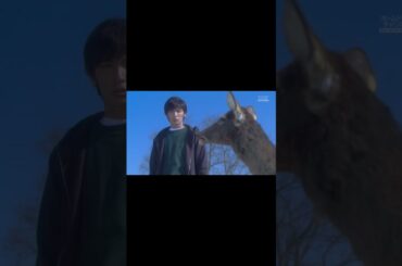 鹿男あをによし（第07回）『謎の少女の正体!?衝撃の事実が明らかに』フジTV 2008年制作