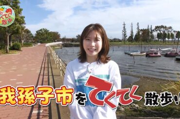 『市町村てくてく散歩』第99回「我孫子市」(2023.11.24放送)【チバテレ公式】