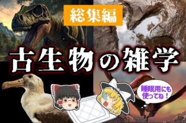【睡眠用・ゆっくり解説】古生物の雑学5　復活した絶滅生物/日本で発見された新種の生物/生痕化石など【広告最初のみ　途中広告なし】
