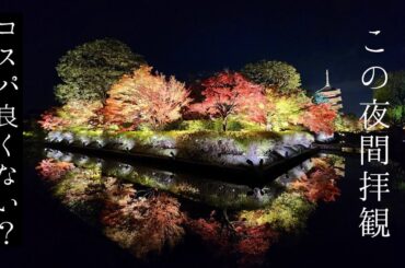 🍁京都紅葉🍁東寺のライトアップがコスパ良すぎて最高だった　Kyoto.Toji