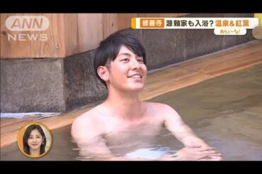 紅葉にグルメ…清めの手水も温泉　いま行きたい！秋の修善寺さんぽ【あらいーな】(2023年11月29日)