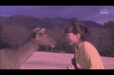 鹿男あをによし（第08回）『辿りついた意外な真実!犯人は貴方だ!』フジTV 2008年制作