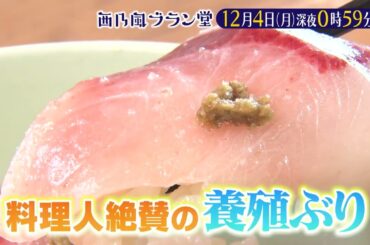 「西乃風ブラン堂」12/4 (月)深夜０時５９分～★京都・伊根町の救世主は養殖ぶり⁉スタジオで川村文乃の解体ショー開幕★MC植村あかり×川村文乃★MC植村あかり×川村文乃