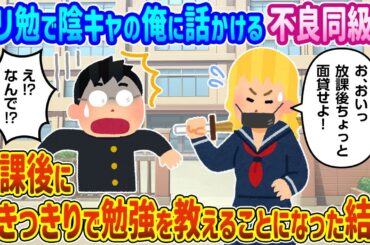 【2ch馴れ初め】がり勉で陰キャの俺に話かける不良同級生へ放課後につきっきりで勉強を教えることになった結果【ゆっくり動画】