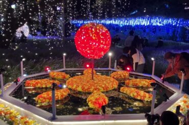 #あしかがフラワーパーク🎄🎅#堀優衣📚#橋本環奈🎤#加藤礼愛🎤#いちみる🍓#鷹宮玲亜🚔#安土姫華🍓#ジャンキス💋#山田莉愛🐼#鈴木陽依梨🐣#宝珠柚花💎#miyabi 🐼#熊之細陽葵🐻#あかぎ団🌸