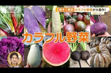 “黒い大根”“赤いトウモロコシ”…見た目も味も楽しい！カラフル野菜【あらいーな】(2023年11月30日)
