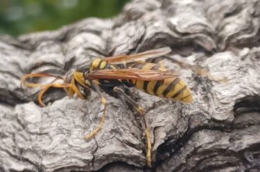 翼の折れたエンジェル、2。23年11月6日