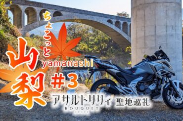 【NC750X】#3 秋の山梨ツーリング アサルトリリィ BOUQUET 聖地巡礼【ソロツーリング】