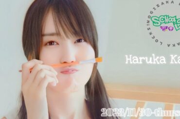 2023-11-30 乃木坂LOCKS! (no cut) - 賀喜遥香 (乃木坂46)