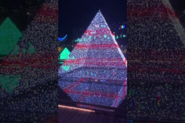 #あしかがフラワーパーク🎄🎅#堀優衣📚#橋本環奈🎤#加藤礼愛🎤#いちみる🍓#鷹宮玲亜🚔#安土姫華🍓#ジャンキス💋#山田莉愛🐼#鈴木陽依梨🐣#宝珠柚花💎#miyabi 🐼#熊之細陽葵🐻#あかぎ団🌸