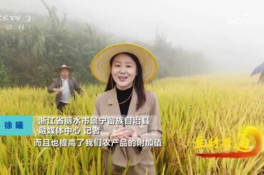 《生财有道》 20231128 财富蝶变 就在九山半水半分田| 财经风云