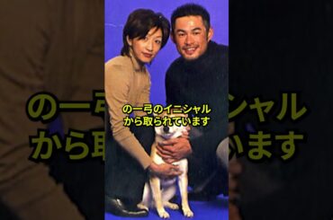 イチローの妻が大金持ちになった驚愕の方法