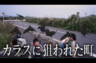 🔴ライブ配信 THE突破ファイル11月30日＜カラス/万引きGメン/市役所スグやる課/共犯/完全犯罪/トリック＞2023年11月30日LIVE FULL HD