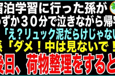 【スカッと】宿泊学習に行った孫がわずか30分で泣きながら帰宅。孫が抱えているリュックを見て私「え？リュック泥だらけじゃない…」孫「ダメ！中は見ないで！」➡️後日、荷物整理をすると…【感動する話】
