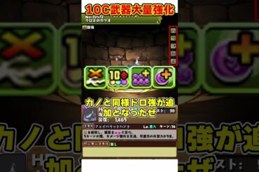 【パズドラ】アグリゲート武器が最強覚醒に変貌!?10C武器大量強化性能ざっくり解説 #shorts #パズドラ #ドラゴン縛り【ゆっくり実況】