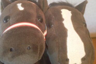 ジャパンカップが楽しみな雑談配信