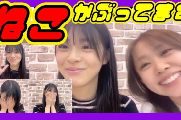 先輩の前ではねこをかぶります。早期と居る時とのギャップが激しい『こよりん』 2023年11月26日 【板垣心和/平山真衣】【SHOWROOM/NMB/切り抜き】