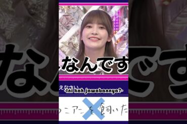 Sakurazaka46 Onuma Akiho Wants to Get a Pomeranian Dog #sakurazaka46 #shorts