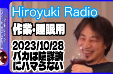 【作業・睡眠用】ひろゆきトーク～バカは陰謀論にハマらない～