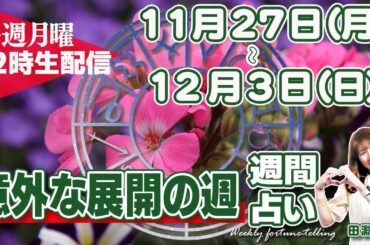 【週間占い11月27日〜12月3日】双子座満月　面白い展開、物事が意外な方に動き出す✨週後半に山羊座に水星が移動、ピシッと仕切り直し