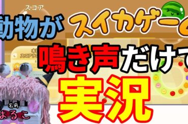 【人類試される】架空の動物がマジで鳴き声だけでスイカゲームを実況プレイしてみた１【動物本人による鳴き声解説あり】＃スイカゲーム