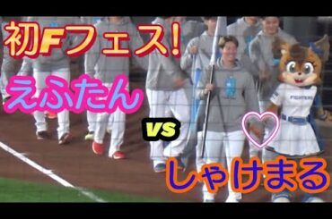 【前編】2023年Fフェス(ファンフェス)