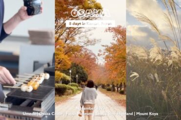 VLOG | Autumn trip to Osaka 🏯 Day trips to Nara & Mount Koya | Nov 2023