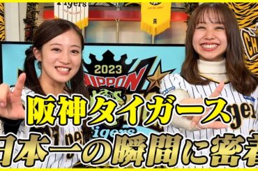 【祝日本一】阪神タイガース38年ぶり日本一の瞬間に密着【運命の2日間】