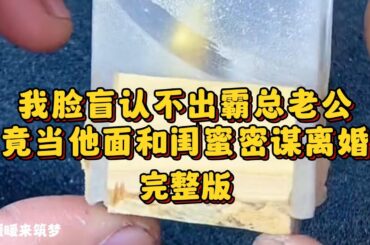 （完整版）我有脸盲症，结婚两年也不记得老公的脸。车上，我和闺蜜打电话大吐苦水：一结婚老公就出国，这活寡我受够了，我必须跟他离婚！