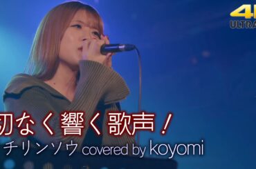 【 歌うま 】切なく響く歌声！  イチリンソウ / 山本彩（ covered by koyomi ）🎧推奨 高音質 4K映像