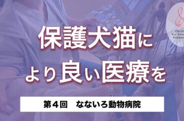 【第4回】保護犬猫により良い医療を　#なないろ動物病院　〜保護犬猫支援基金 協力動物病院紹介〜