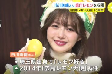 市川美織さん「広島レモン大使」10周年「もうまた10年続けられるように」子どもたちと “県庁レモン” 収穫