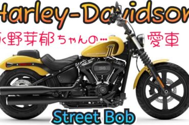 永野芽郁ちゃんの愛車❗️ストリートボブに乗ってみた❗️✨ハーレーダビッドソン‼️🔥