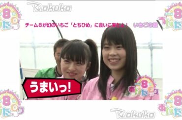 ✨ AKB48 Team 8 no Anta, Roke! (AKB48チーム8のあんた、ロケ!) Episode 13 ☄️ Tochigi Prefecture (栃木県) ⚡ Part 4 ⚡