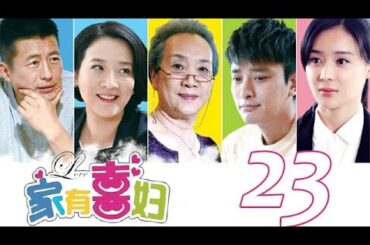 家有喜婦 第23集（袁姍姍、賈乃亮、陳小藝、高曙光等主演）