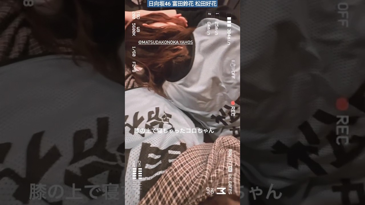 日向坂46 富田鈴花 松田好花 すーじーの膝の上でおやすみこのちゃん♪ 全国ツアー Kアリーナ横浜 サーキットで会いましょう 日向坂46 富田鈴花 松田好花 すーじーの膝の上でおやすみこのちゃん♪ 全国ツアー Kアリーナ横浜 サーキットで会いましょう