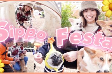 【VLOG】おこげとランプとお出かけしてきました🌼【しっぽフェスタ】