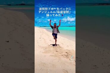 【HITOYA】臥薪嘗胆 / アンジュルム【サビだけ踊ってみた】