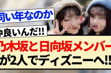 【朗報】乃木坂と日向坂メンバーが2人でディズニーへ!!【乃木坂46・日向坂46】